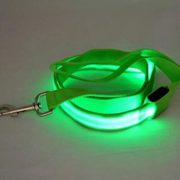 LED Dog Leash - Picture 4 of 7